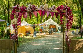 Between the Trees - Glamping